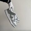 Nike Dunk Gris